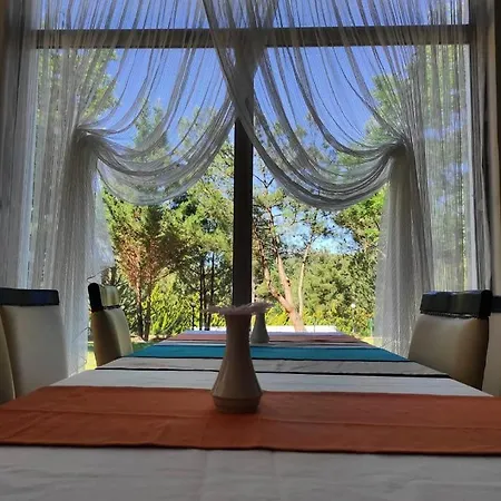 Club Adas Hotel Hotel 4*