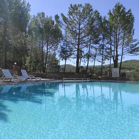 Club Adas Hotel 4*